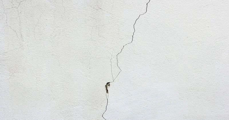 Nid punaise de lit mur et nid de punaise extérieur : deux cas à part