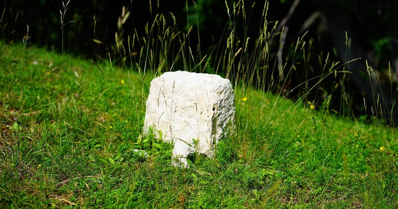Géofoncier particulier : comment consulter le cadastre facilement