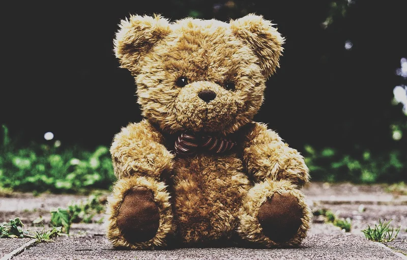 Comment choisir son ours : le guide pratique