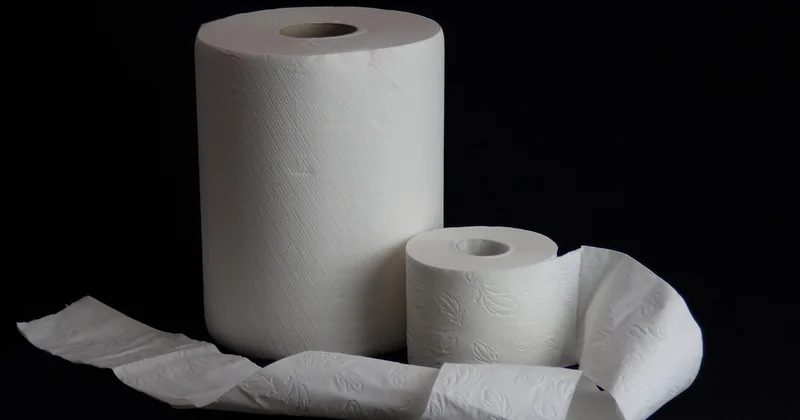 Vers noir toilette : y a-t-il un vrai danger ?