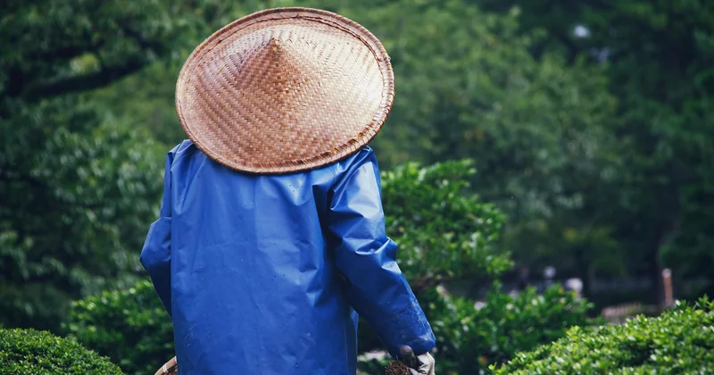 Le blog du jardinier : la mine d'or méconnue