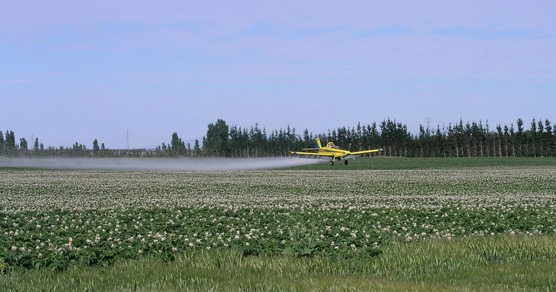 Pourquoi les insecticides échouent presque toujours
