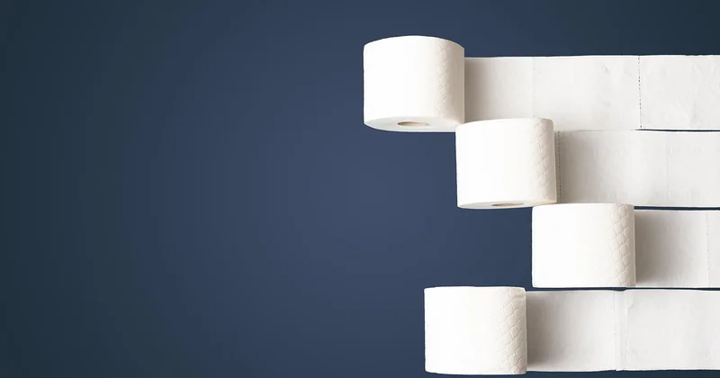 Comment enlever le vert dans les WC ?