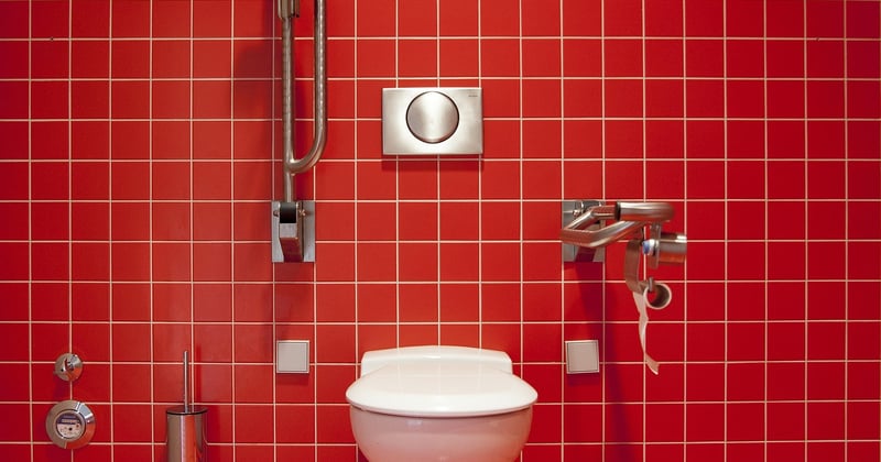 Vers dans les toilettes : causes, solutions et quand s'inquiéter